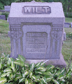 Elizabeth C. Chrispen Wilt 1843-1916