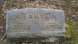 John Elmer Wilt 1862-1919
