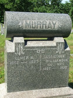 Sally Ann Williamson Murray gravestone